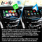 Interfaz video de la caja carplay inalámbrica auto de la navegación de Android para Cadillac Escalade